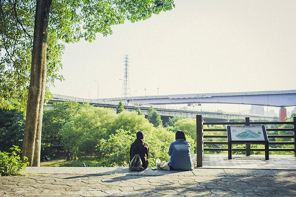 Free stock photo of shanghai, sunny