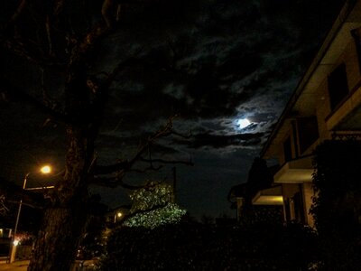 Free stock photo of full moon, moon, sky