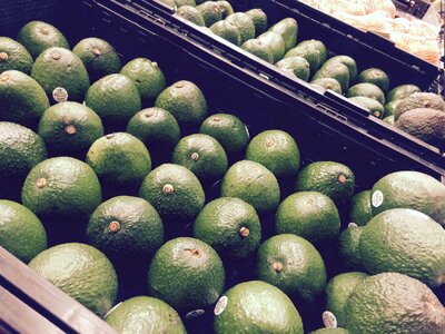 Free stock photo of avocado, close-up, color photo
