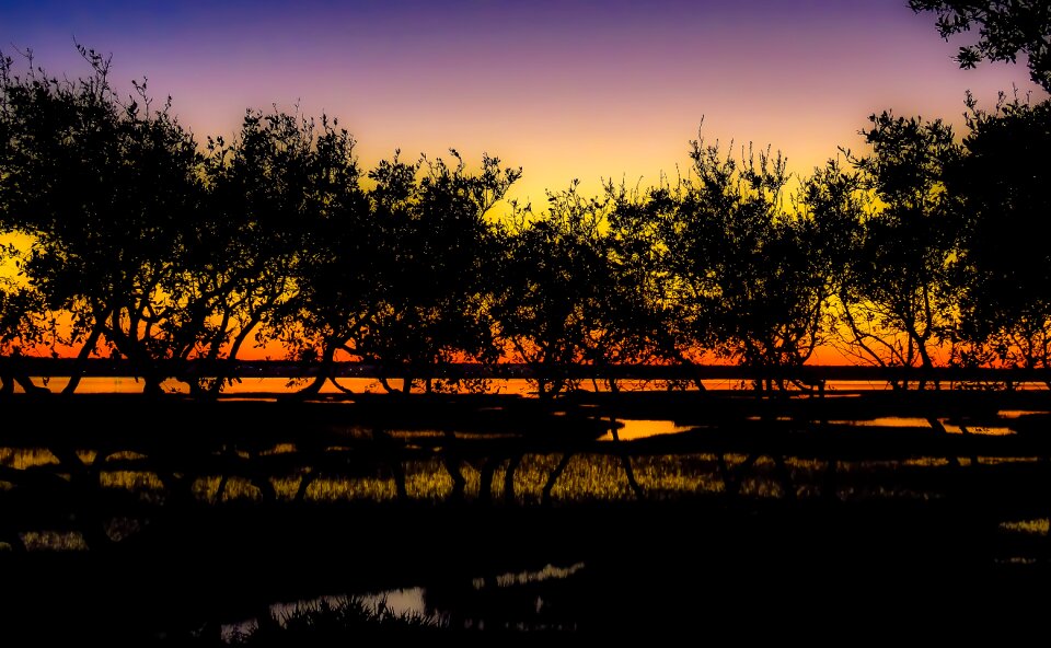 Free stock photo of sunset