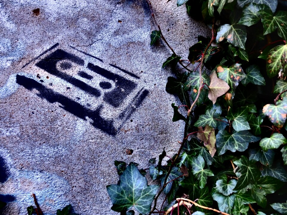 Free stock photo of grafitti, music, painting