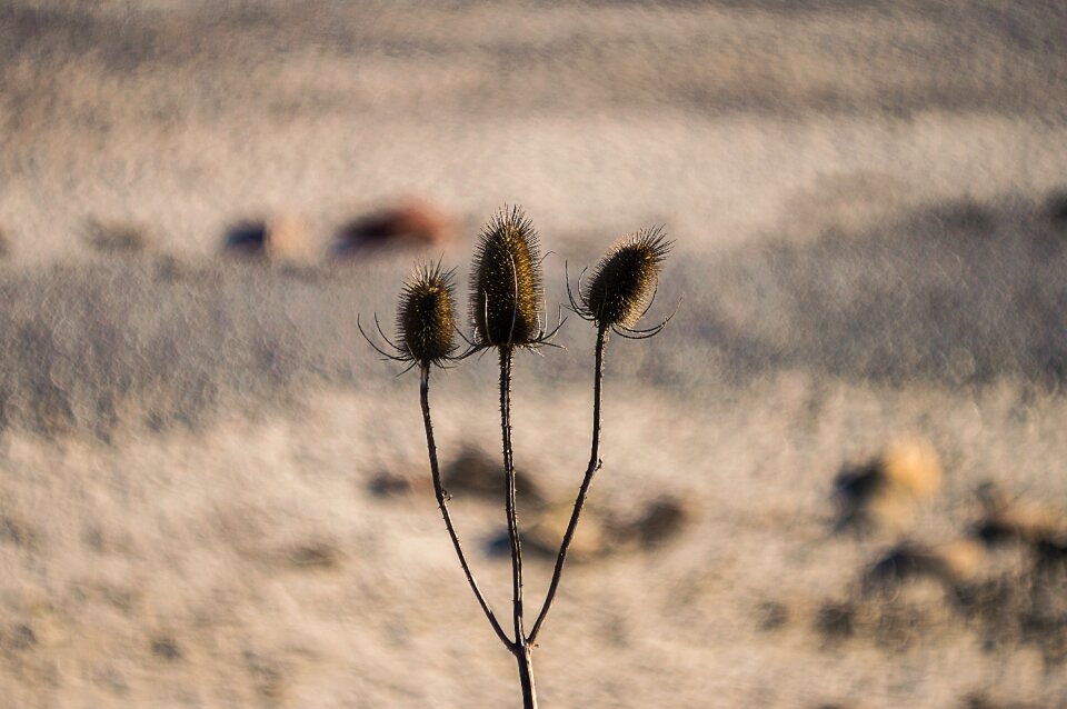 Free stock photo of helios, swirly