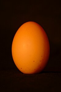 Free stock photo of egg, food, still life photo