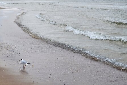 Free stock photo of beach, sand, sea photo