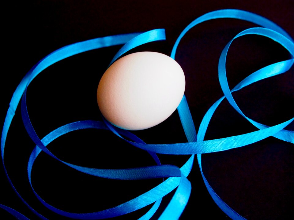 Free stock photo of blue, easter, egg