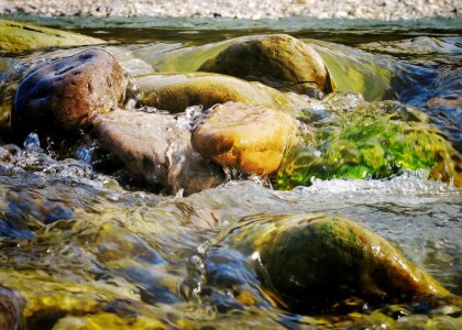 Free stock photo of brown, bubbling water, green