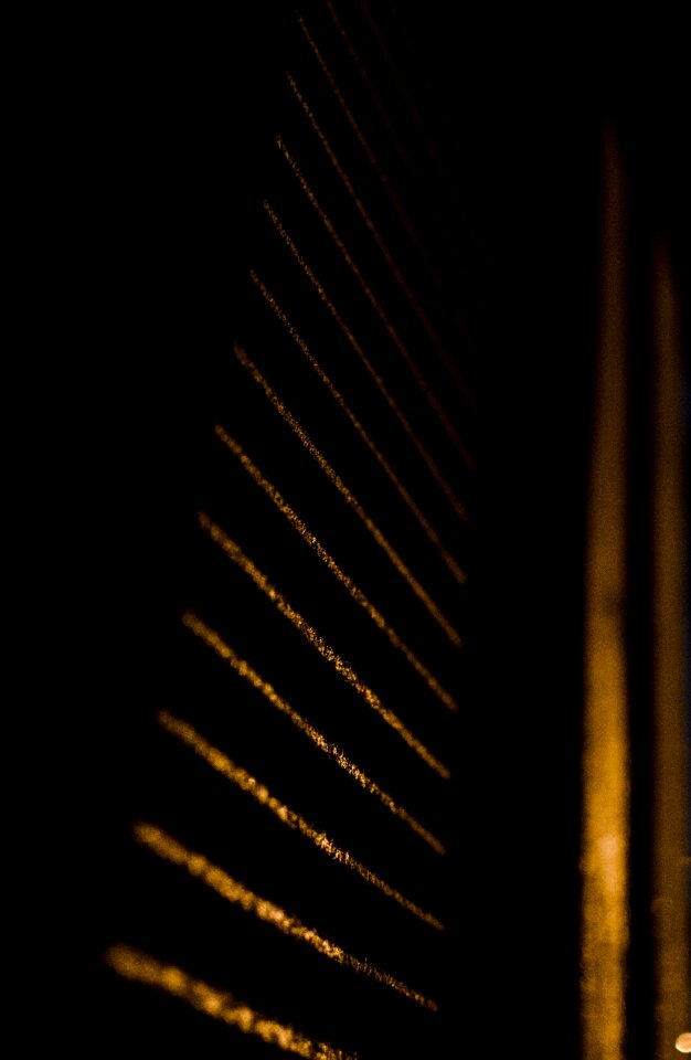 Free stock photo of light, night, shadows