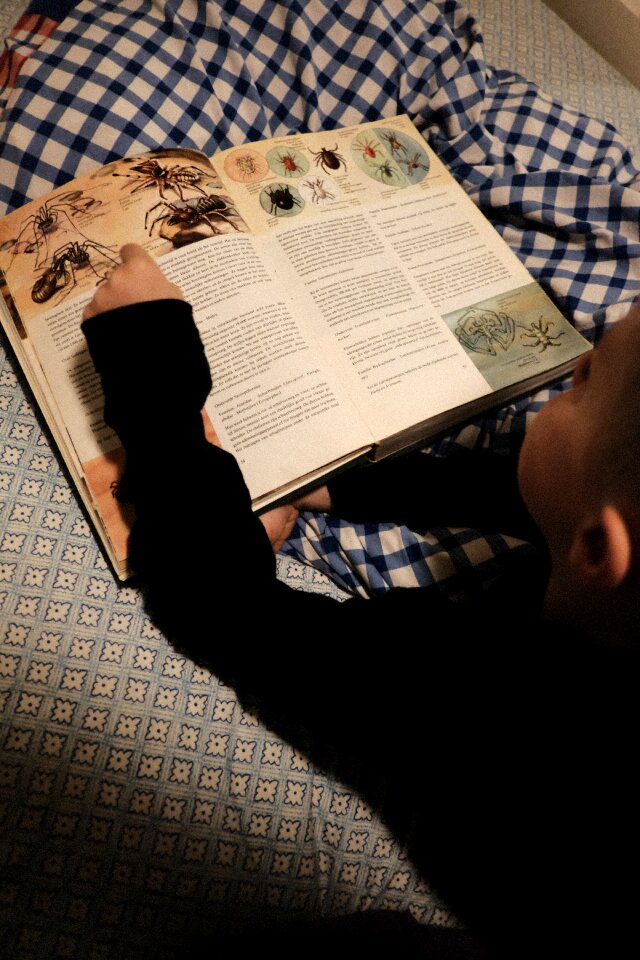 Free stock photo of reading