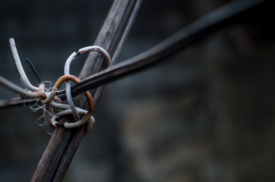 Free stock photo of cables, limitedcolors, stick