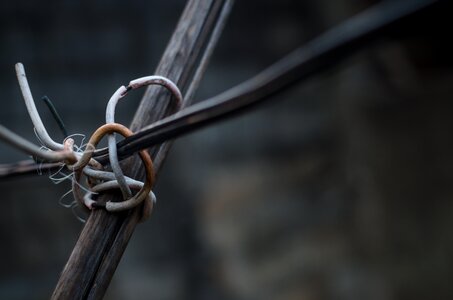 Free stock photo of cables, limitedcolors, stick