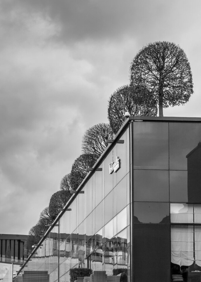 Free stock photo of architecture, black and-white, building