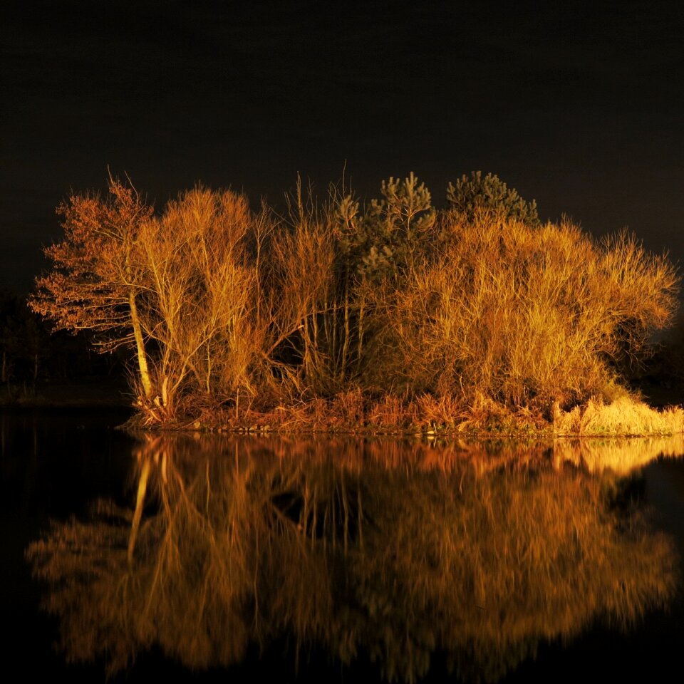 Free stock photo of fishing pond, landscape, nature photo