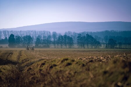 Free stock photo from Tookapic