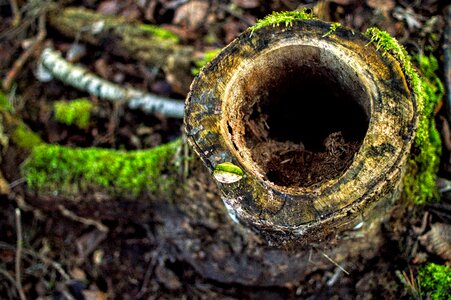 Free stock photo from Tookapic