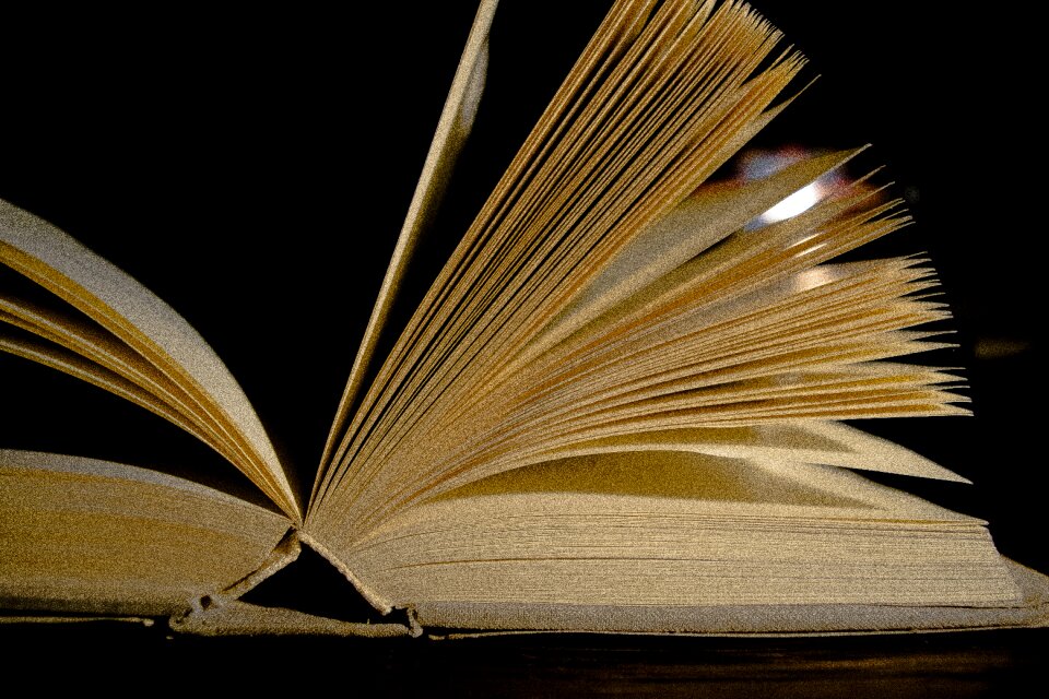 Free stock photo of artistway, books, drogaartysty