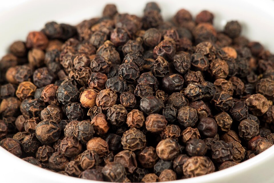 Free stock photo of canon close-lens-250d, spice