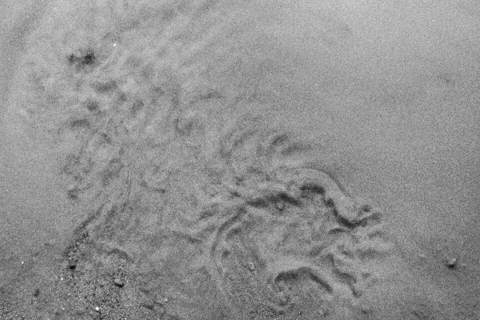 Free stock photo of dirt, puddle, rain