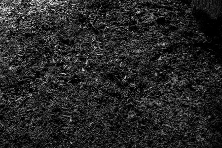 Free stock photo of dirt, ground, mud photo