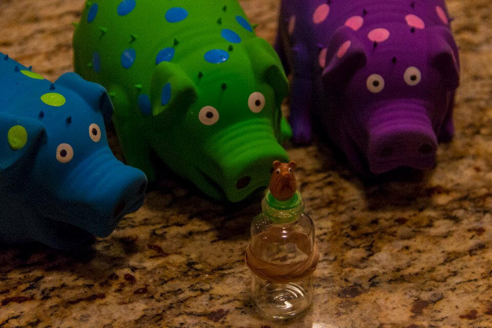Free stock photo from Tookapic