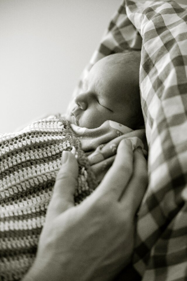Free stock photo of baby