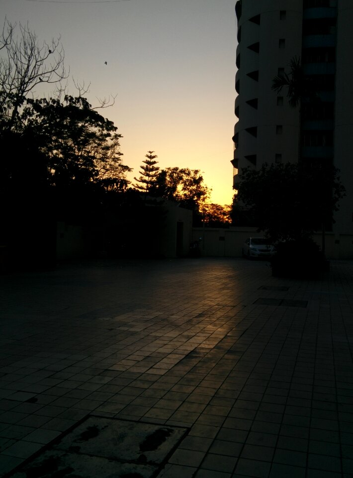 Free stock photo of 365 photos, golden, sunset