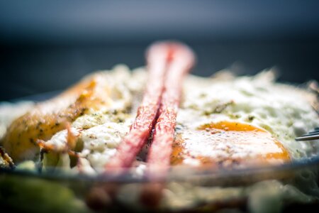 Free stock photo from Tookapic