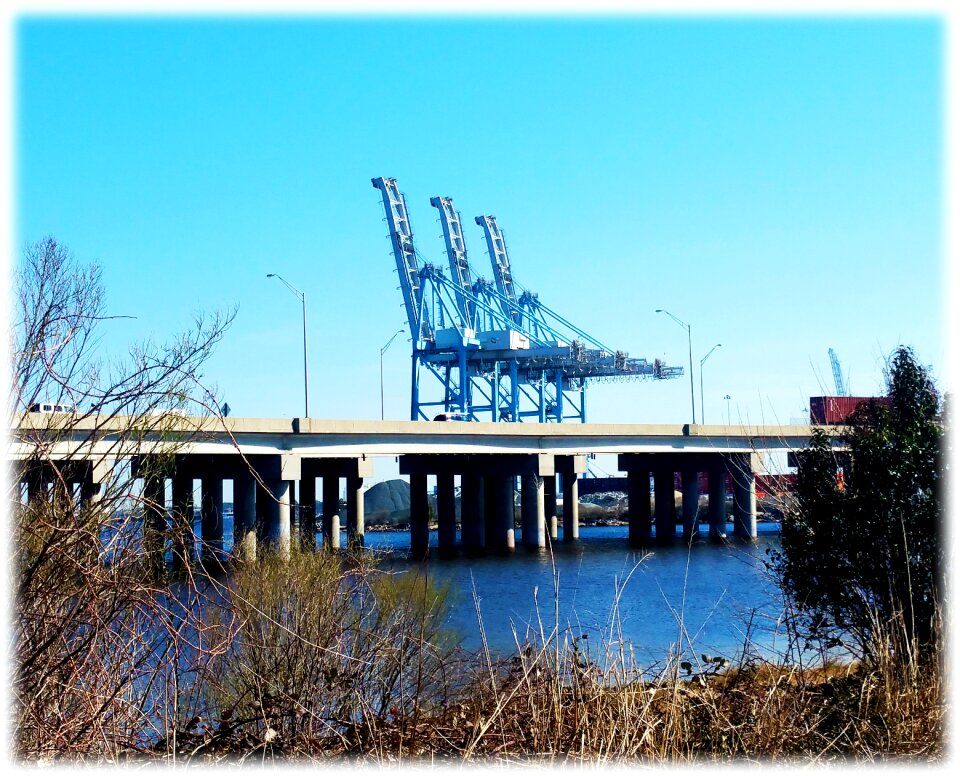 Free stock photo of container, cranes, marine