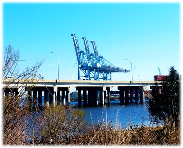 Free stock photo of container, cranes, marine
