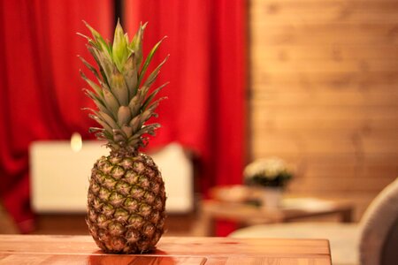 Free stock photo of food, fruit, pineapple photo