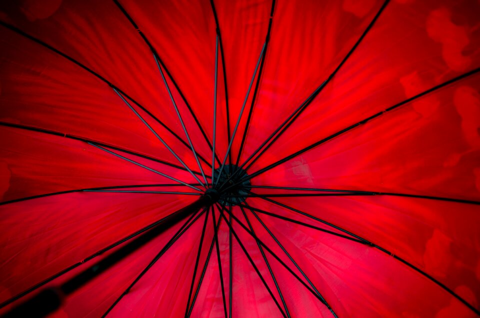 Black Steel Framed Red Umbrella
