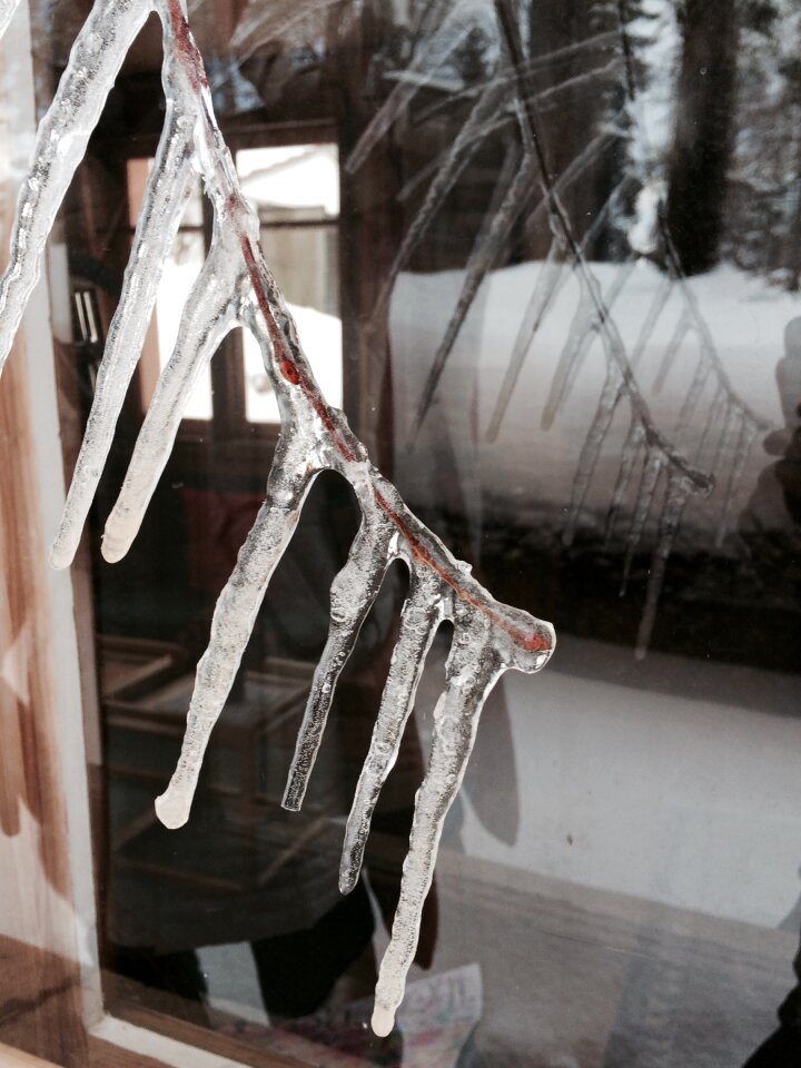 Free stock photo of cold, ice