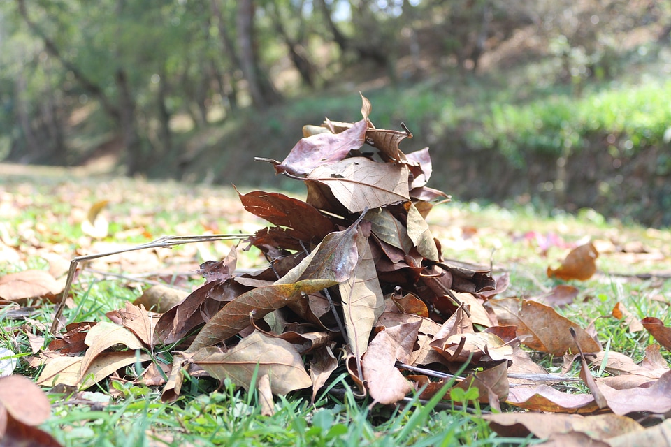 Litter gathered heap