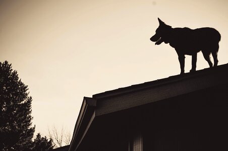 Free stock photo from Tookapic
