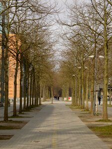Free stock photo of calm, germany, green