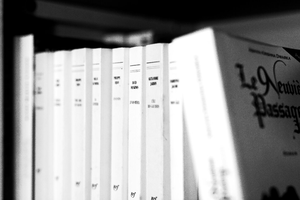 Free stock photo of ancient, authors, books