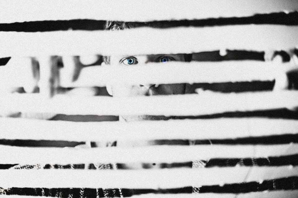 Free stock photo of blinds, blue, creep