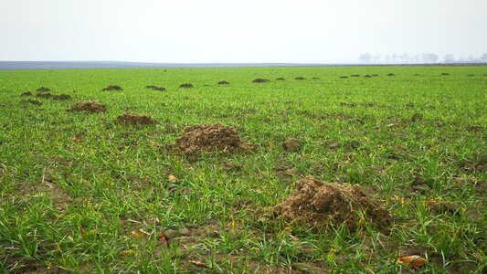 Free stock photo from Tookapic