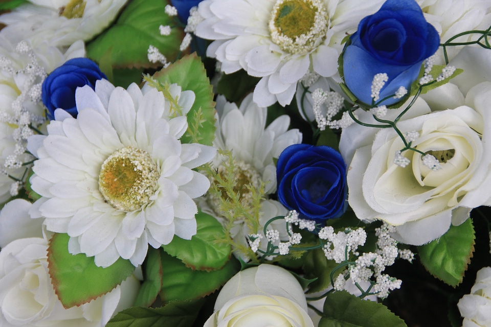 Flowers celebration congratulations