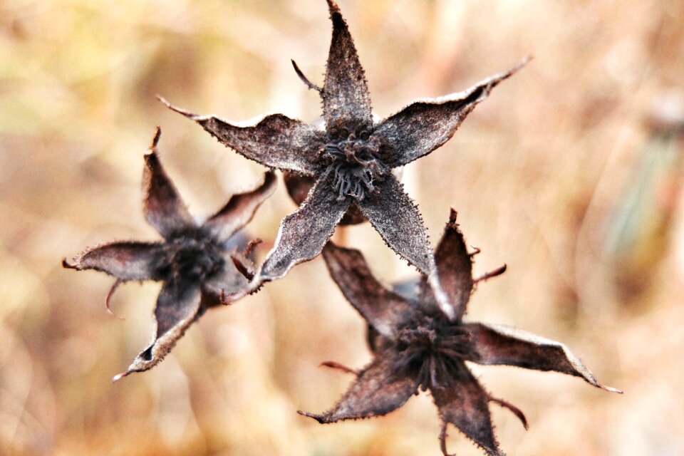 Free stock photo of 3, freeze, frost
