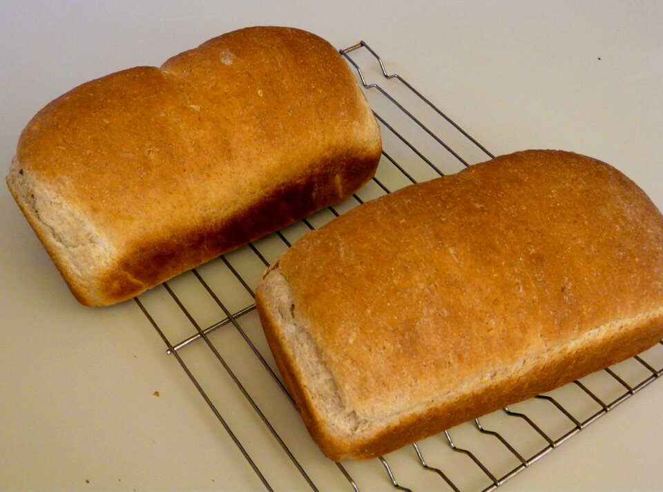 Free stock photo of bread, food, still life
