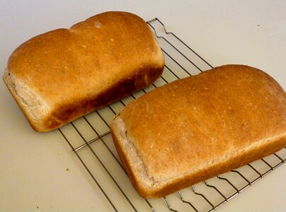 Free stock photo of bread, food, still life