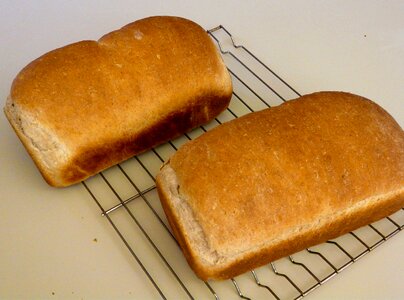 Free stock photo of bread, food, still life photo