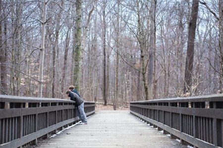Free stock photo of gray, nature, trees