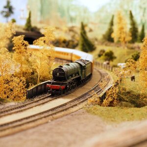 Black and Red Miniature Train Surrounded by Artificial Trees and Grass photo