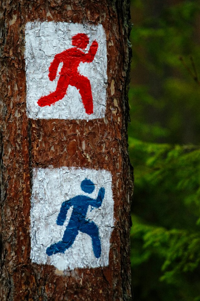Free stock photo of forest, sign, tree