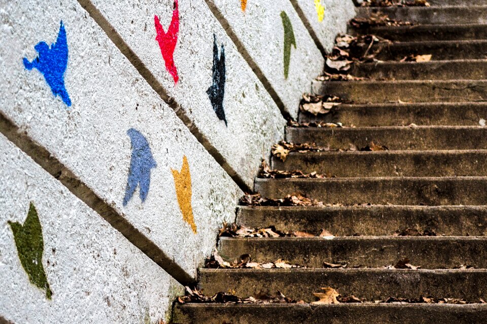 Free stock photo of canon, stairs