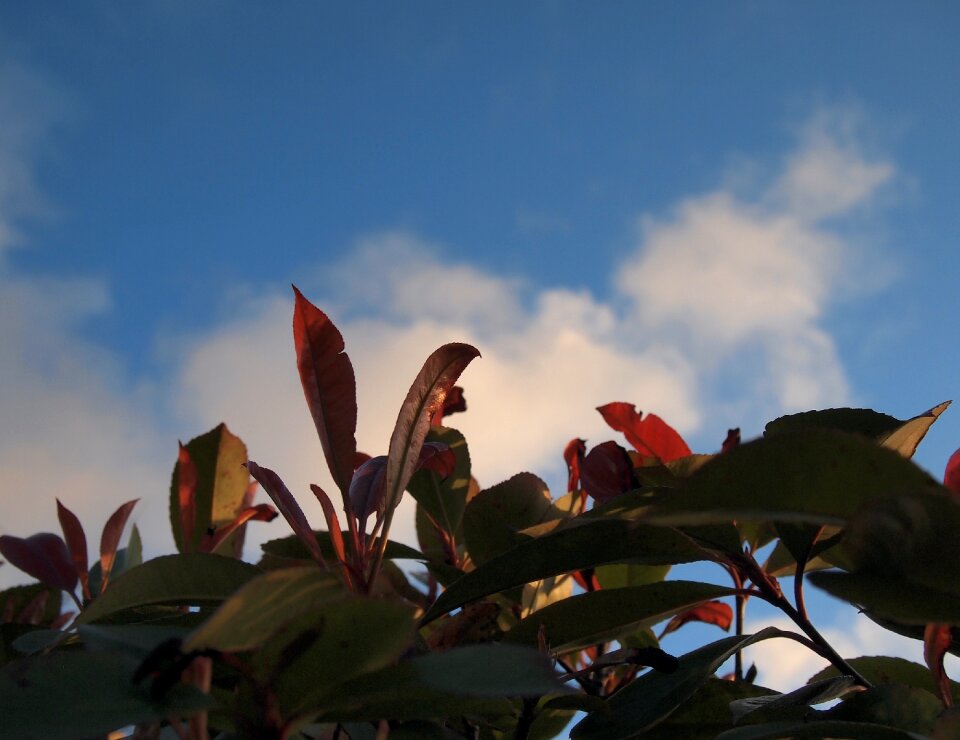 Free stock photo from Tookapic