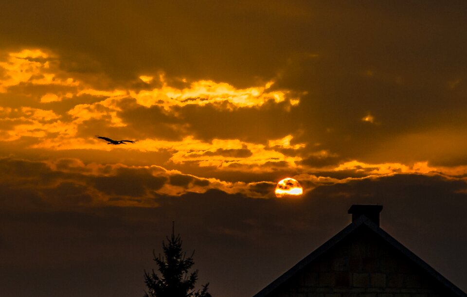 Free stock photo of clouds, roof, stork