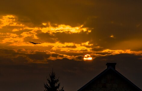Free stock photo of clouds, roof, stork