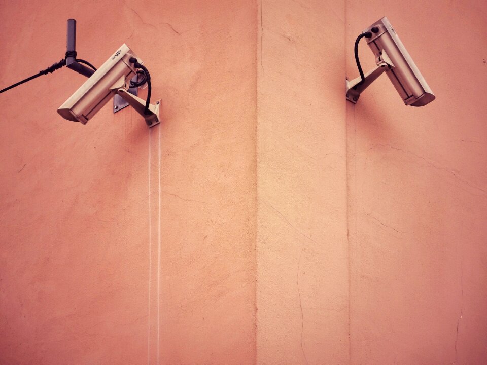 Free stock photo of big brother, minimalism, safety